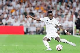 张掖山地马 张掖山地马