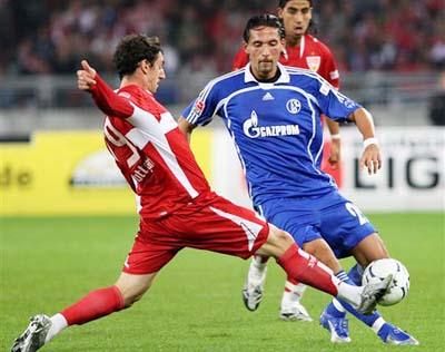 引起了广泛 引起了广泛